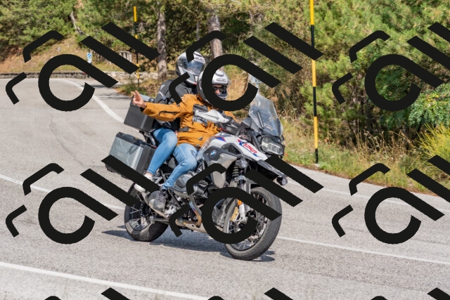 202509071441-DSC_0193_c4_