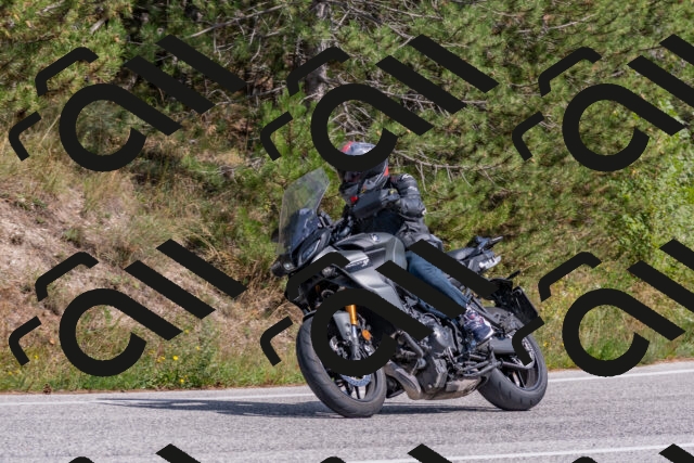 202509071443-DSC_0204_c4_