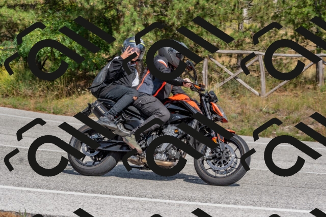 202509071444-DSC_0219_c4_