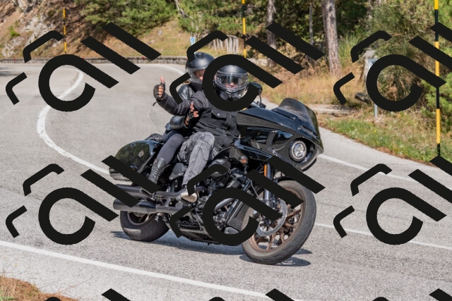 202509071448-DSC_0225_c4_