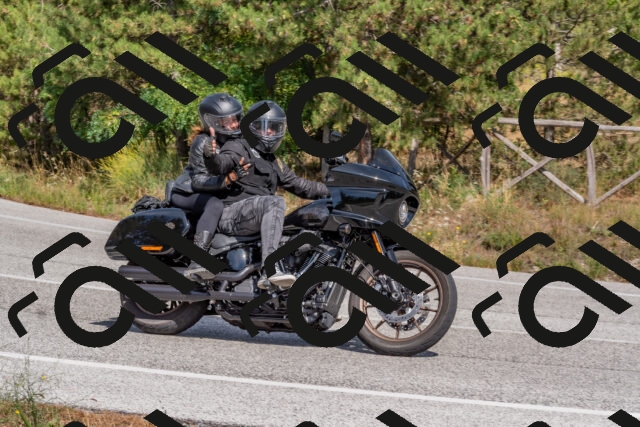 202509071448-DSC_0226_c4_