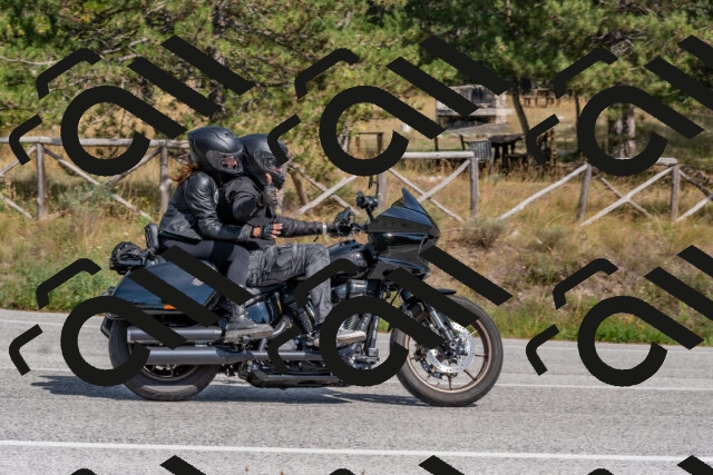 202509071448-DSC_0227_c4_