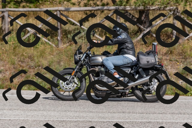 202509071449-DSC_0229_c4_