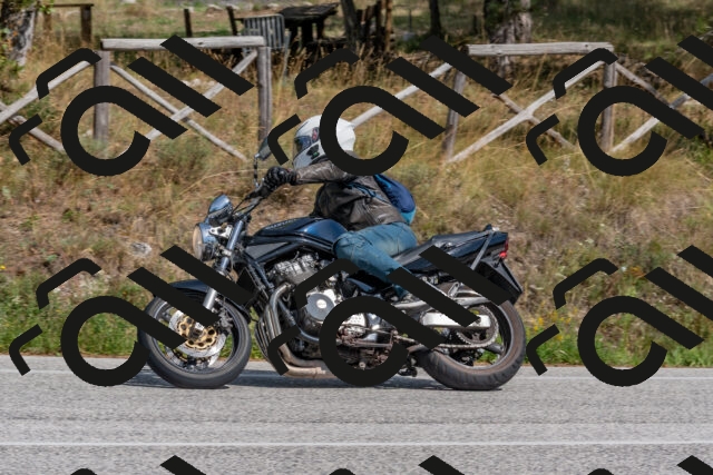 202509071449-DSC_0230_c4_