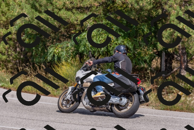 202509071449-DSC_0235_c4_