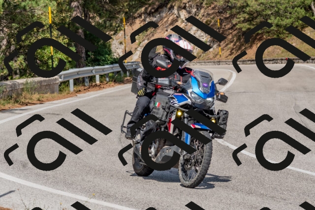 202509071450-DSC_0241_c4_