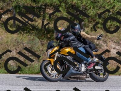 202509071451-DSC_0253_c4_