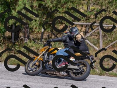 202509071451-DSC_0255_c4_