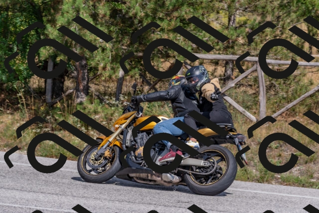 202509071451-DSC_0255_c4_