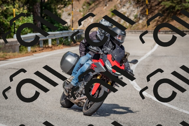 202509071453-DSC_0260_c4_