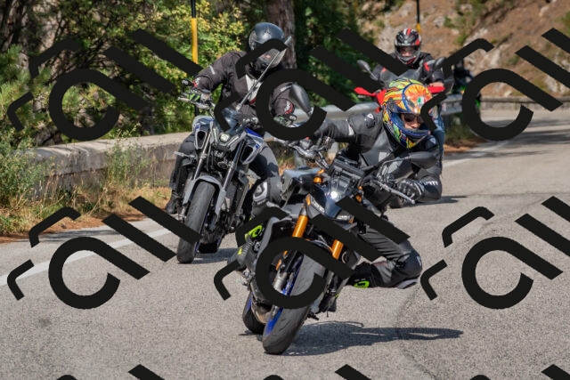 202509071455-DSC_0264_c4_