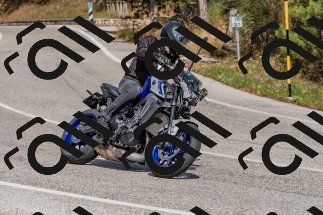 202509071455-DSC_0267_c4_