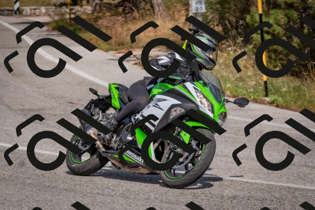 202509071455-DSC_0272_c4_