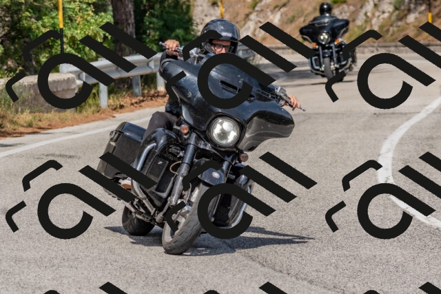 202509071455-DSC_0281_c4_