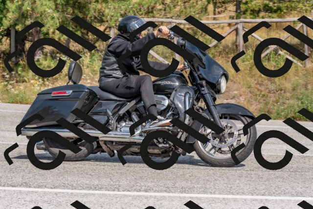 202509071455-DSC_0283_c4_