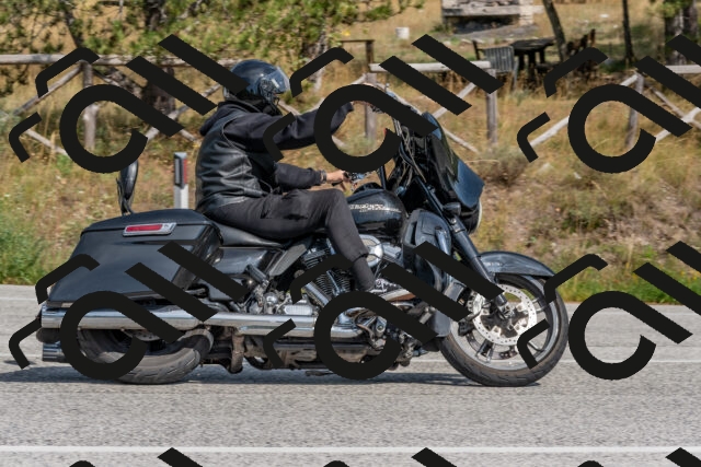 202509071455-DSC_0284_c4_