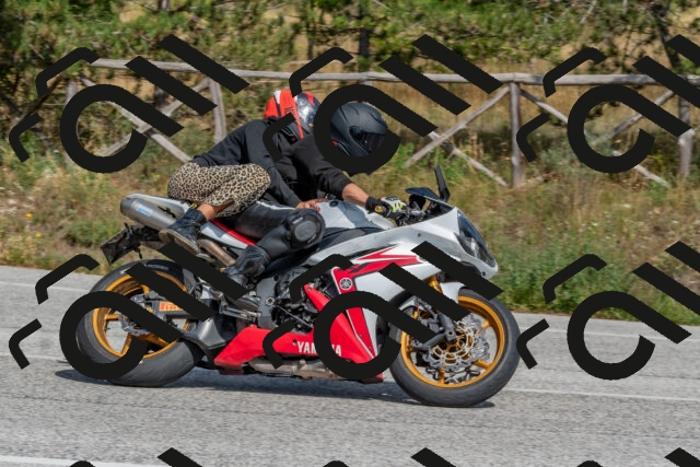 202509071459-DSC_0304_c4_