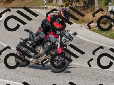 202509071503-DSC_0318_c4_