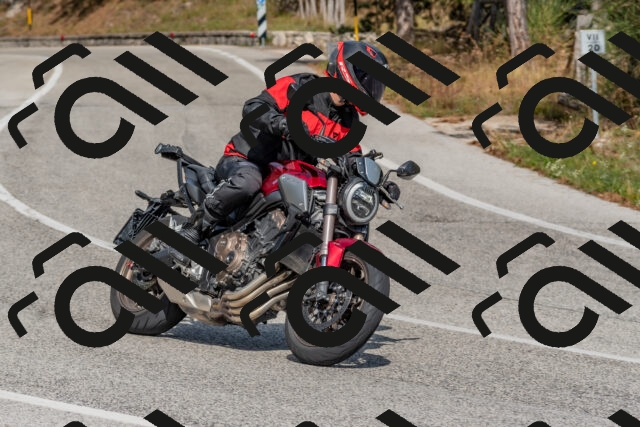 202509071503-DSC_0318_c4_