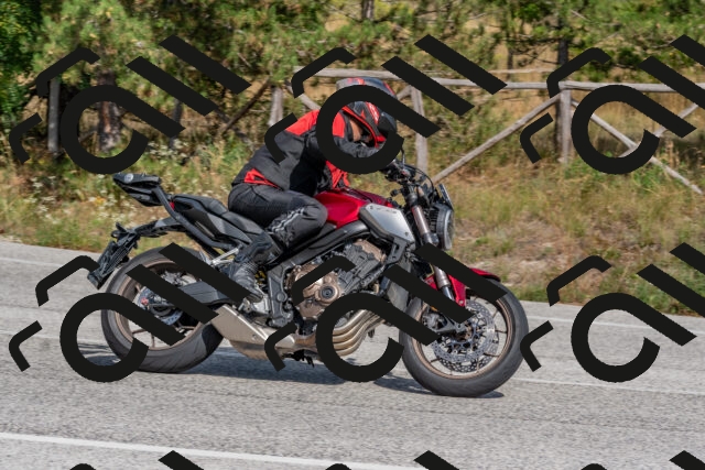 202509071503-DSC_0319_c4_