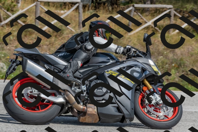 202509071503-DSC_0325_c4_