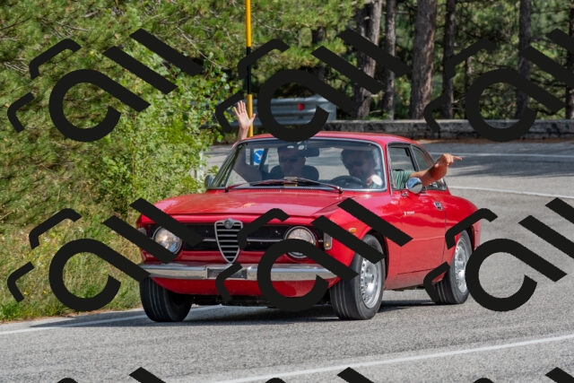 202509071504-DSC_0334_c4_