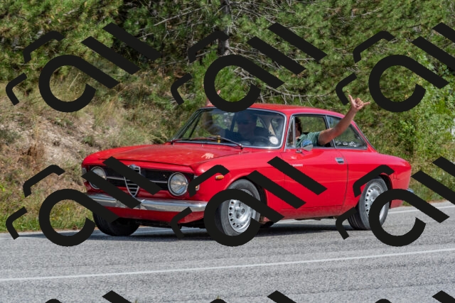 202509071504-DSC_0335_c4_