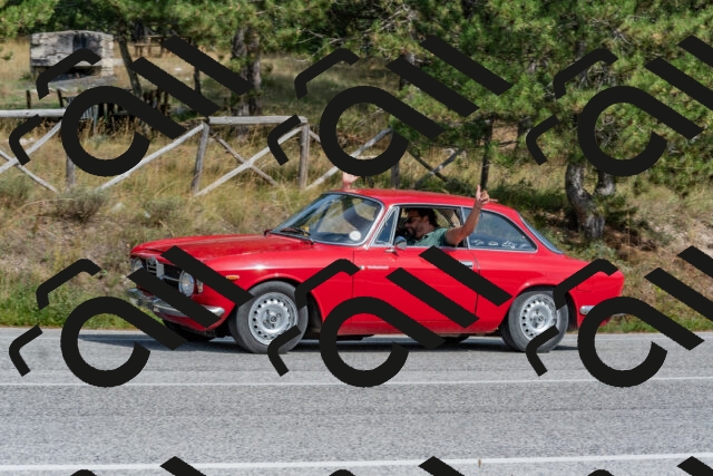 202509071504-DSC_0336_c4_