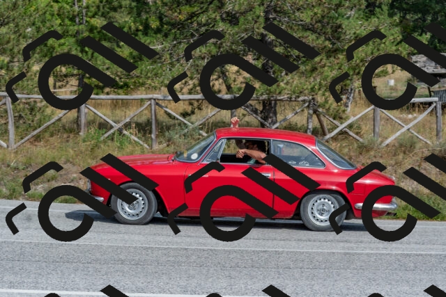 202509071504-DSC_0337_c4_