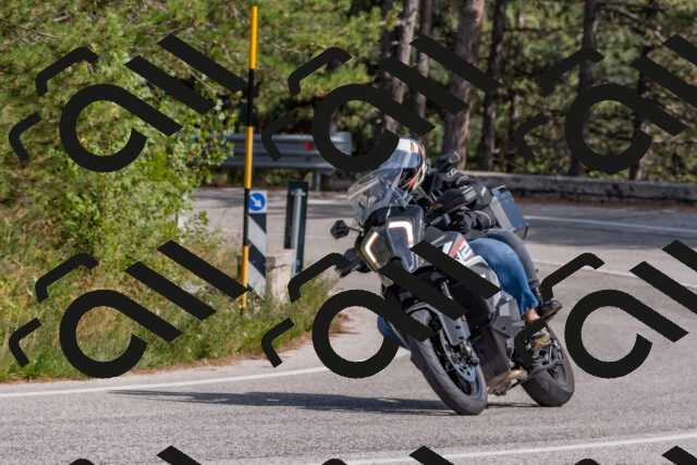 202509071504-DSC_0339_c4_