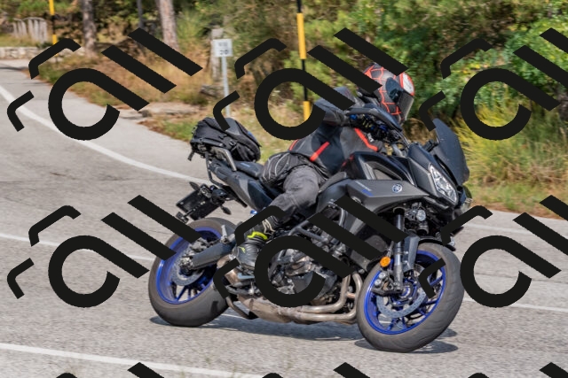 202509071506-DSC_0359_c4_