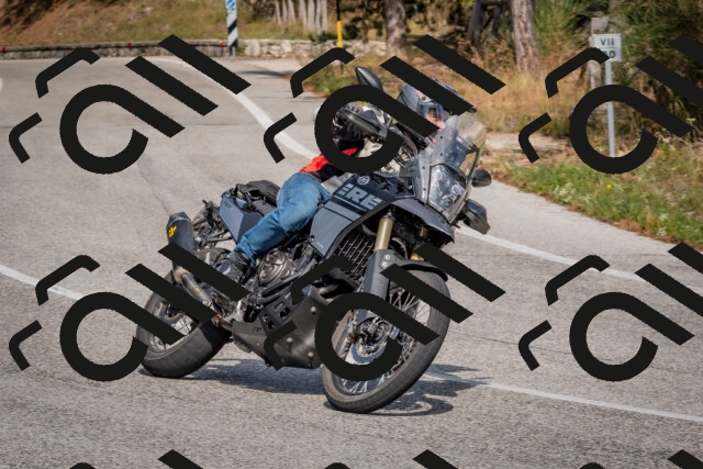 202509071506-DSC_0365_c4_