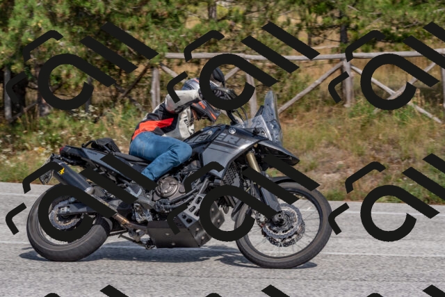 202509071506-DSC_0366_c4_