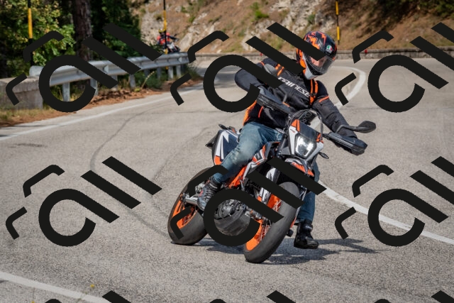 202509071506-DSC_0373_c4_