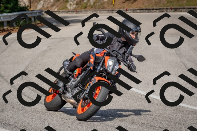 202509071507-DSC_0394_c4_