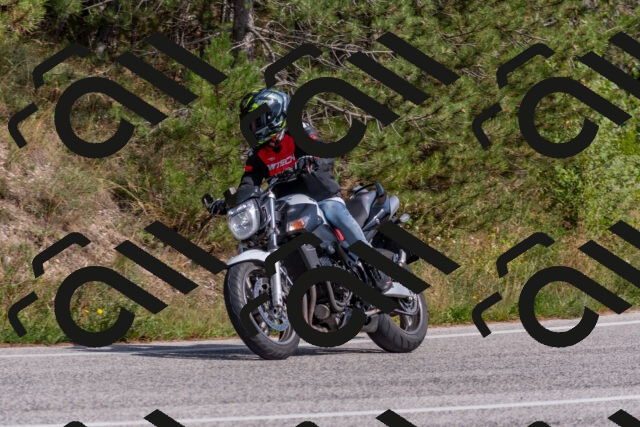 202509071508-DSC_0399_c4_