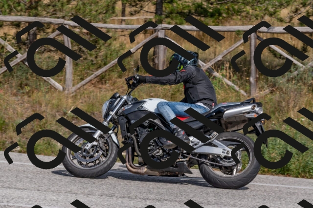 202509071508-DSC_0401_c4_