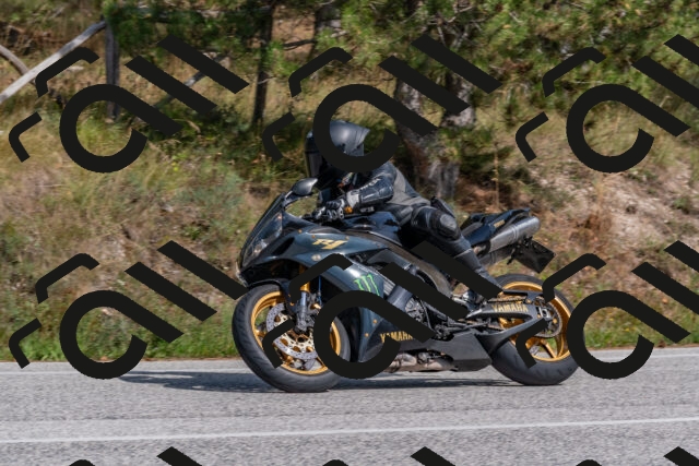 202509071508-DSC_0422_c4_