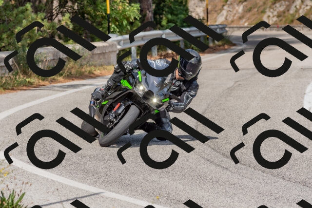 202509071511-DSC_0437_c4_