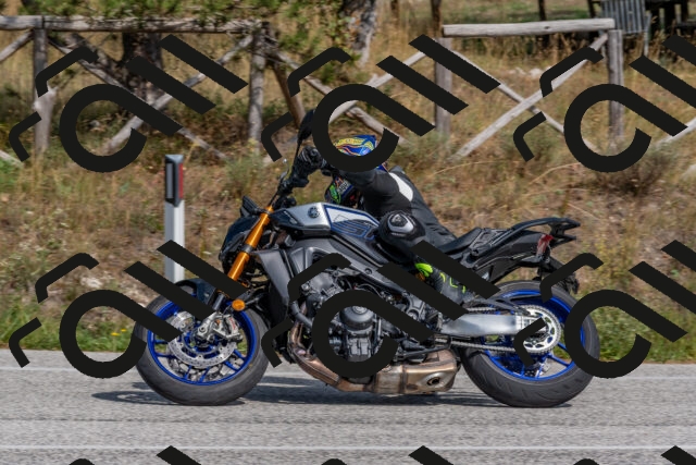 202509071512-DSC_0454_c4_