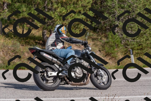 202509071513-DSC_0459_c4_