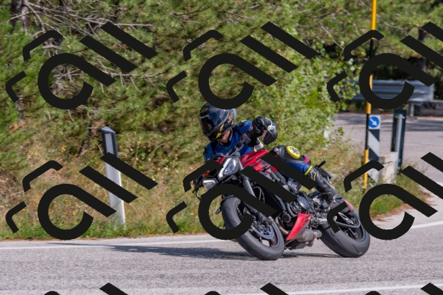 202509071513-DSC_0461_c4_