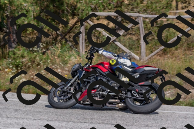 202509071513-DSC_0463_c4_