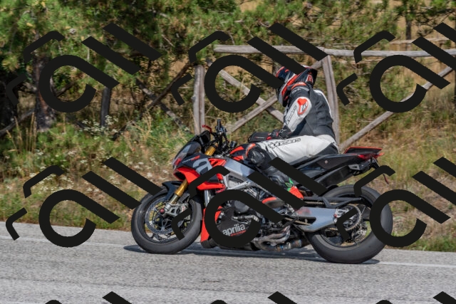 202509071513-DSC_0467_c4_