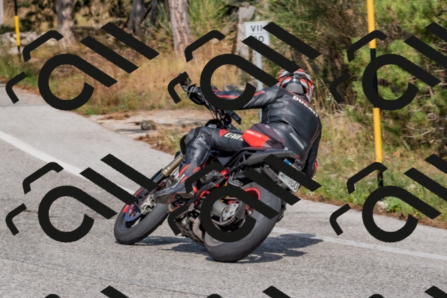 202509071514-DSC_0471_c4_