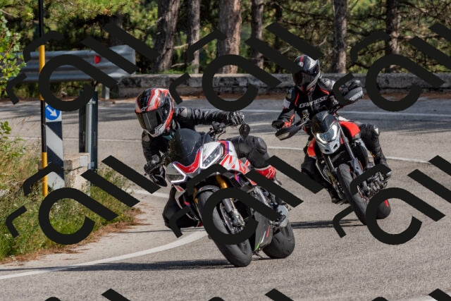 202509071514-DSC_0481_c4_