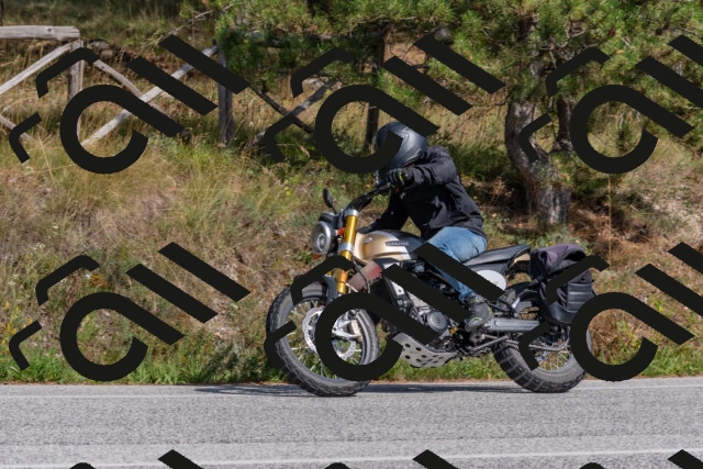 202509071514-DSC_0493_c4_