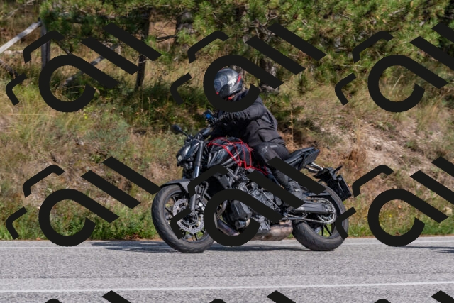 202509071514-DSC_0494_c4_