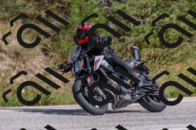 202509071515-DSC_0497_c4_