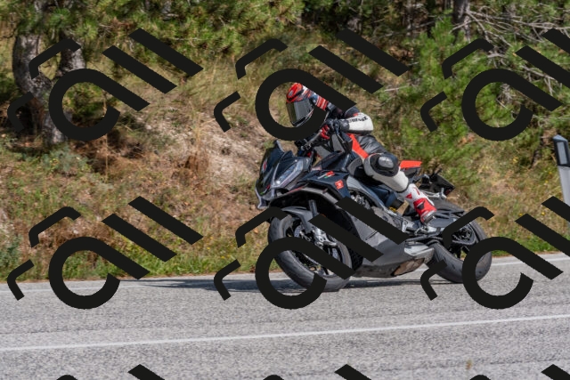 202509071515-DSC_0504_c4_